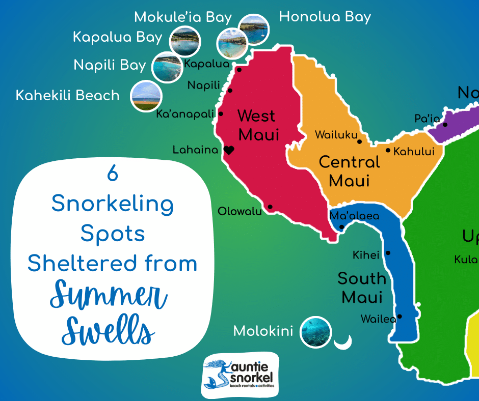 6 Snorkeling Spots Sheltered From Summer Swells