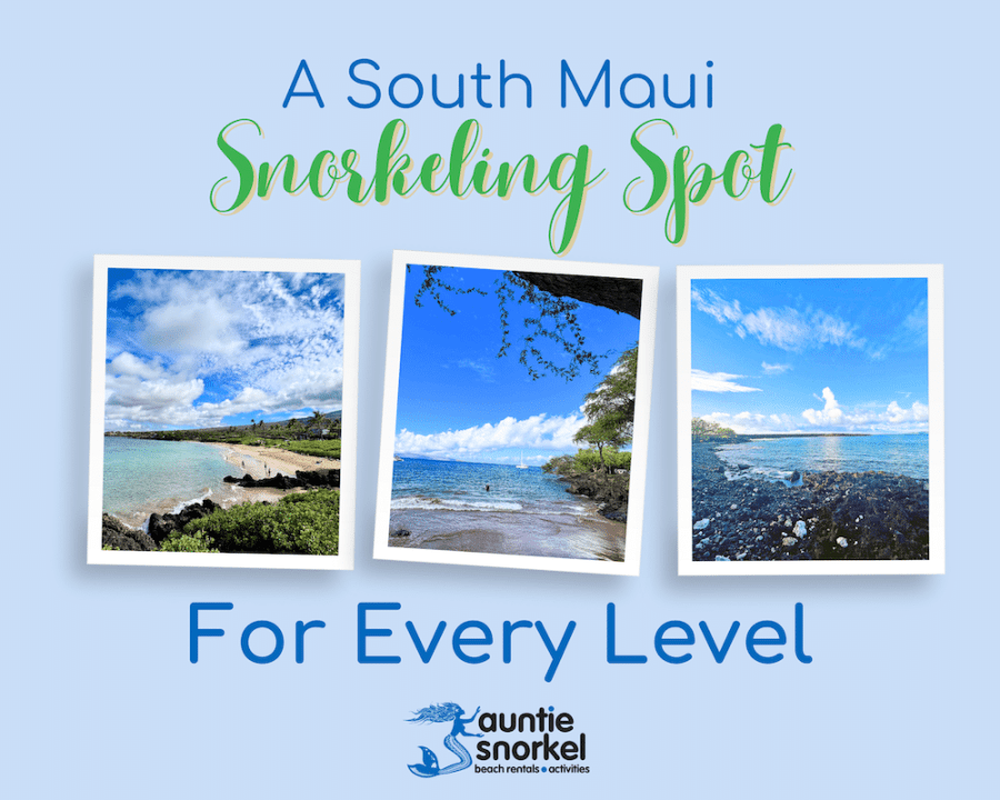 A South Maui Snorkeling Spot for Every Level