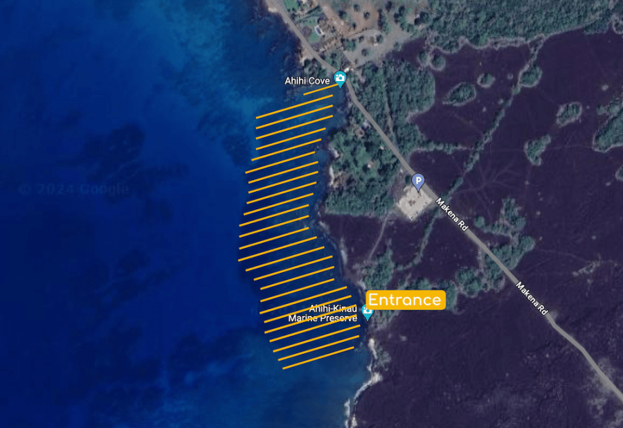 Ahihi Bay Snorkeling Area 