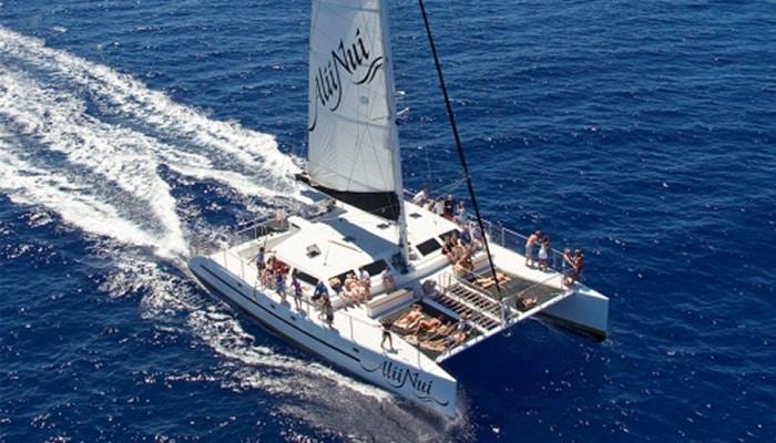 Alii-Nui-Whale-Watch-1