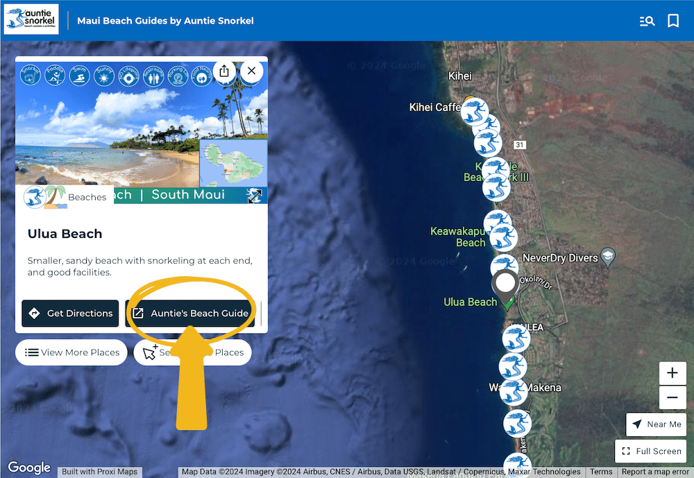 Aunties Beach Guides on the interactive map