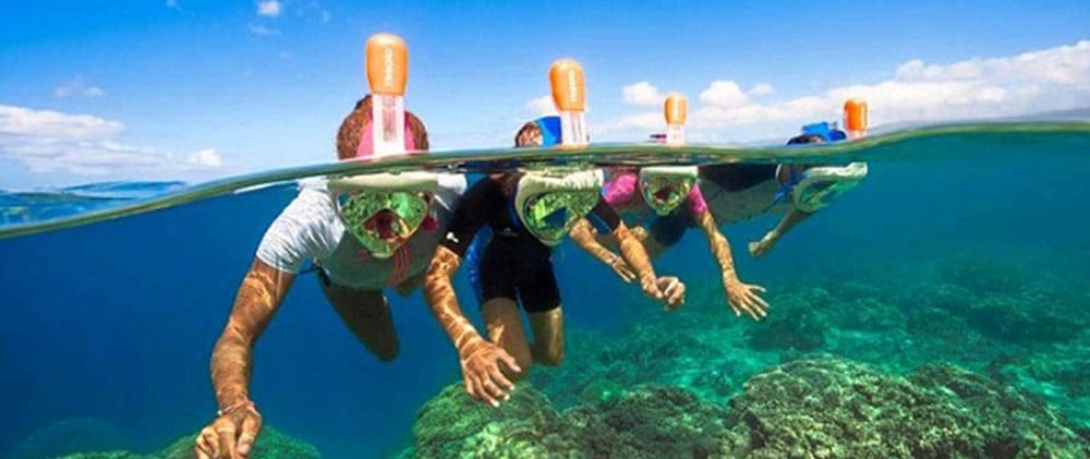 Maui snorkeling