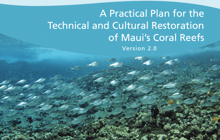 Coral Recovery Plan by Maui Nui Marine Resource Council