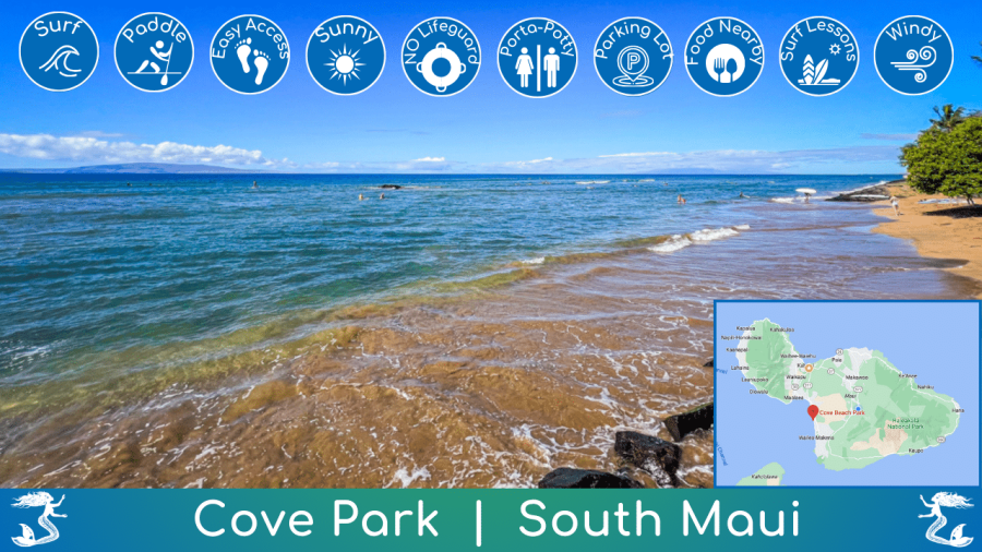 Cove Park Surf Spot Beach Guide