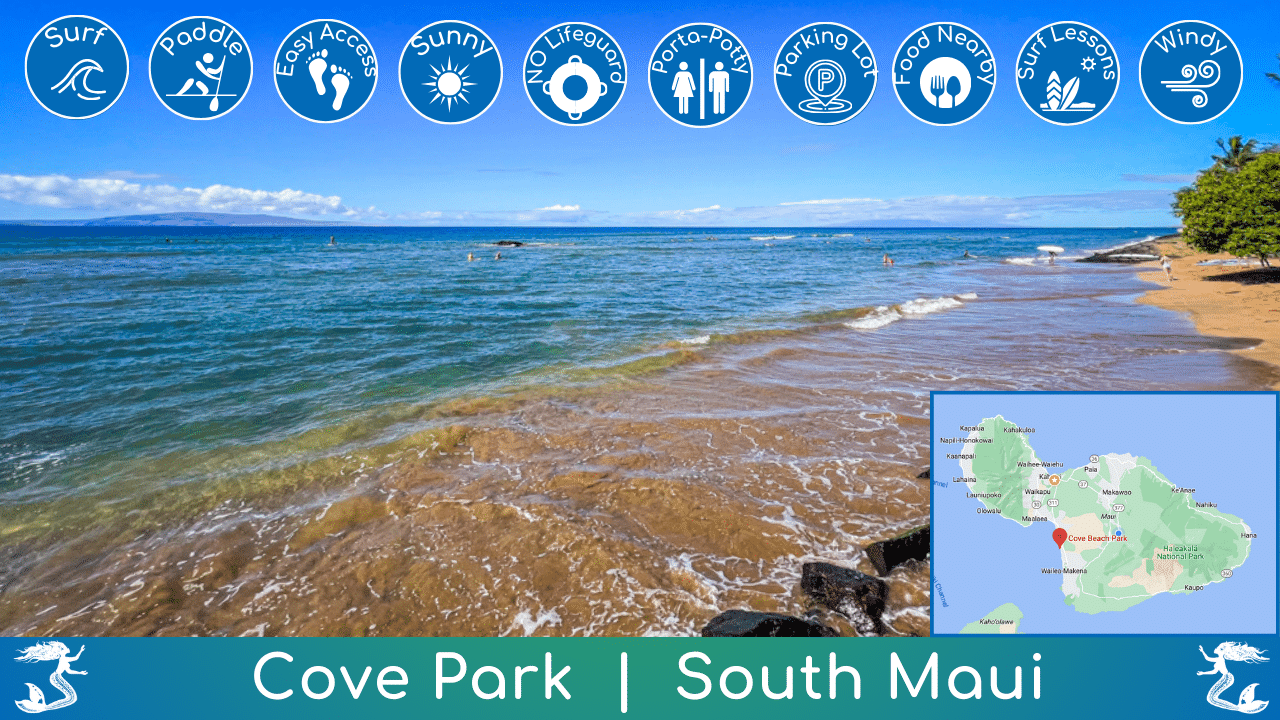 Cove Park Surf Spot Beach Guide