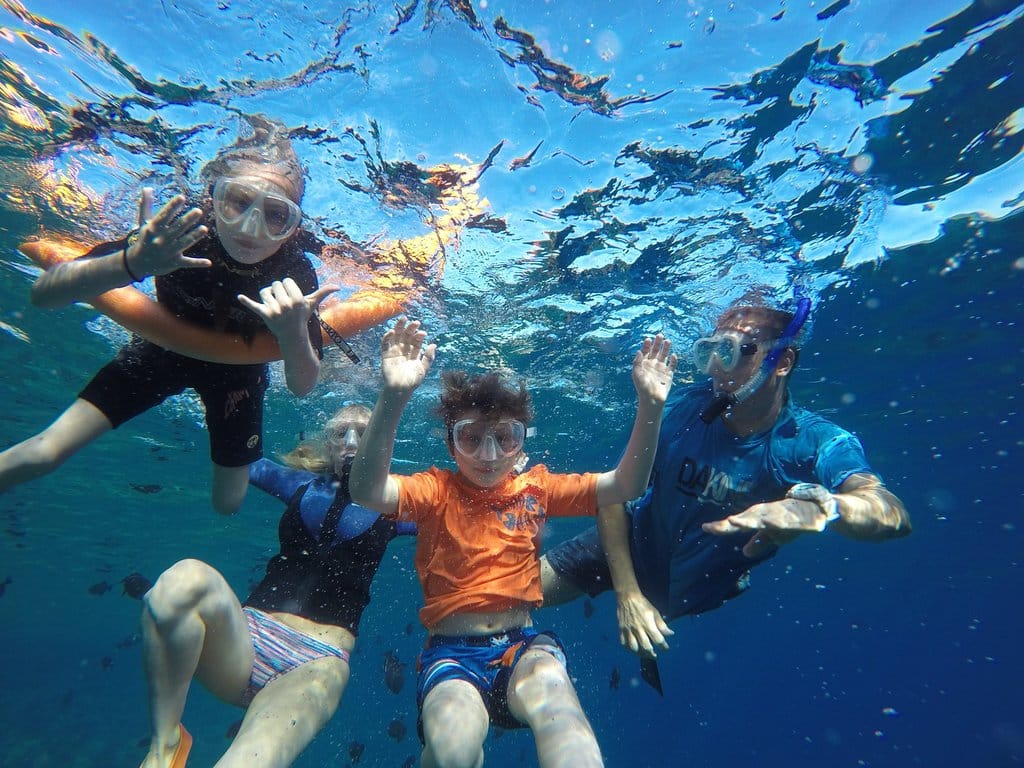 Snorkel Gear Rentals in Kihei