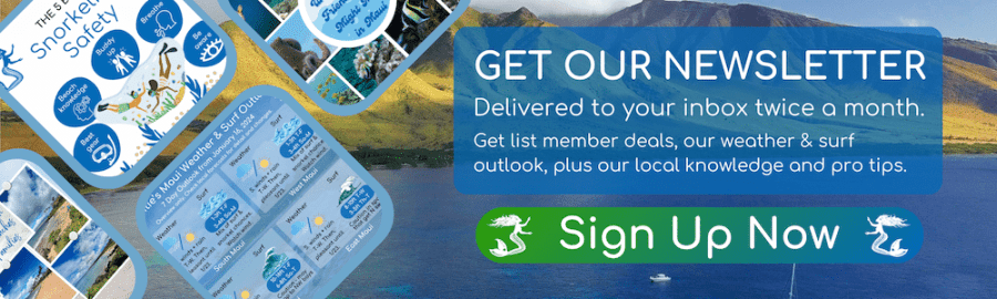 Newsletter Sign Up