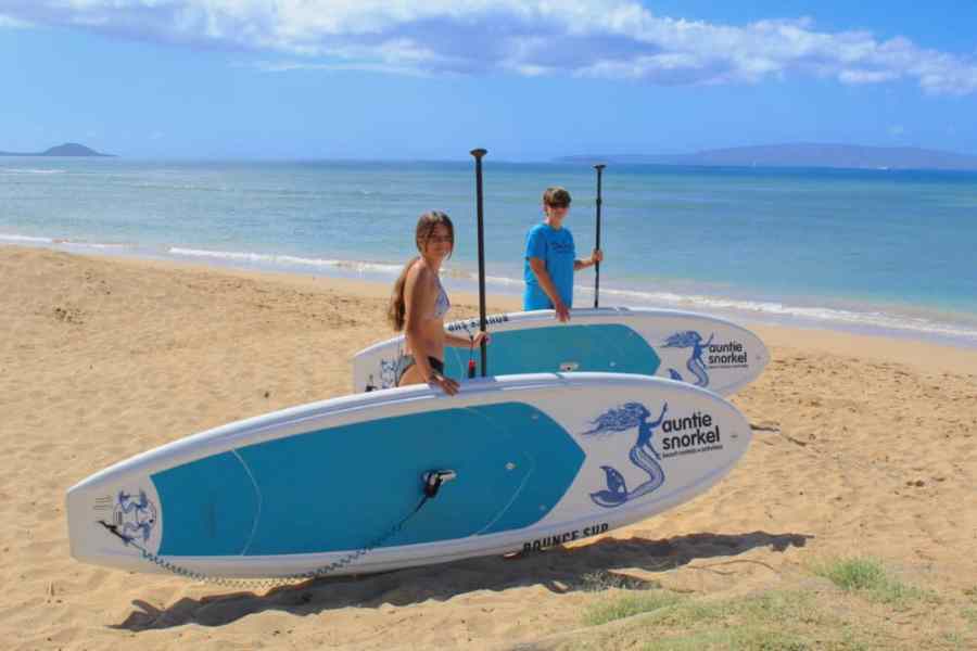 paddle board rentals maui