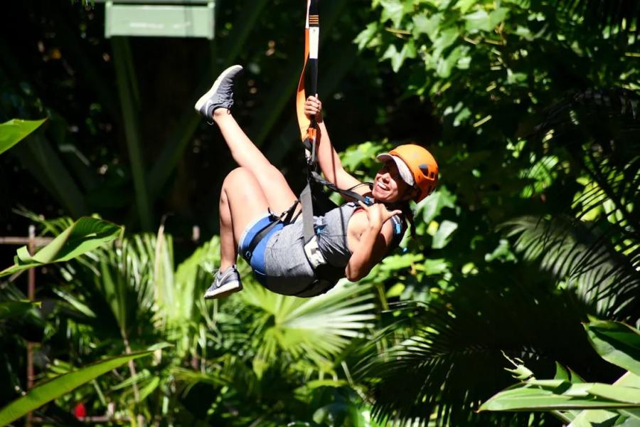 Jungle Zipline Zipping