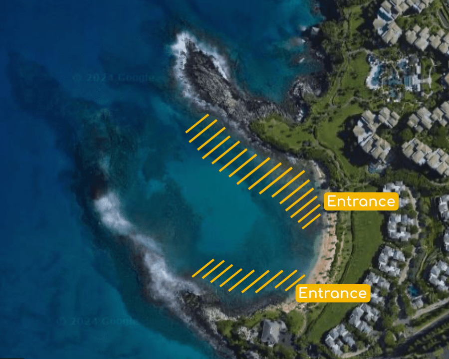 Kapalua Bay Snorkeling Guide