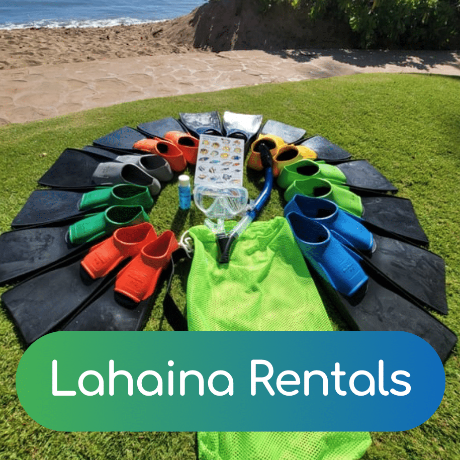 Lahaina beach rentals