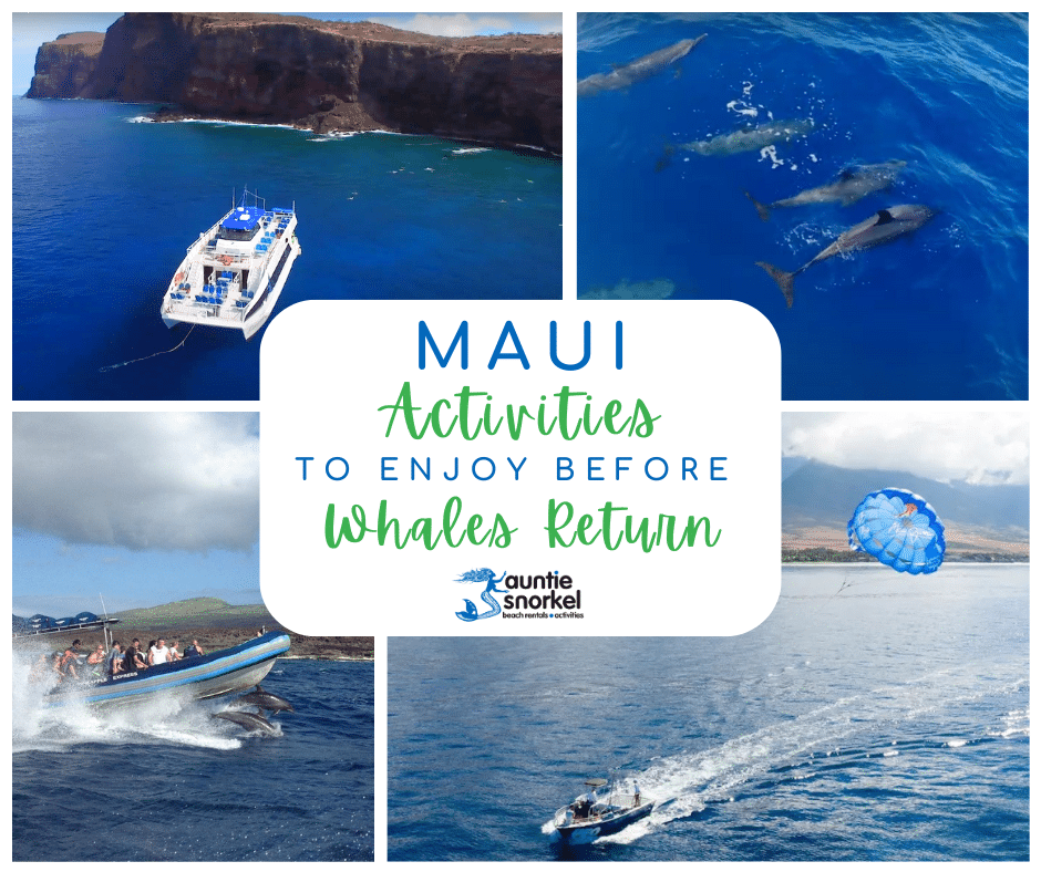 Maui Shoulder Season Activities to Enjoy Before Humpback Whales Return