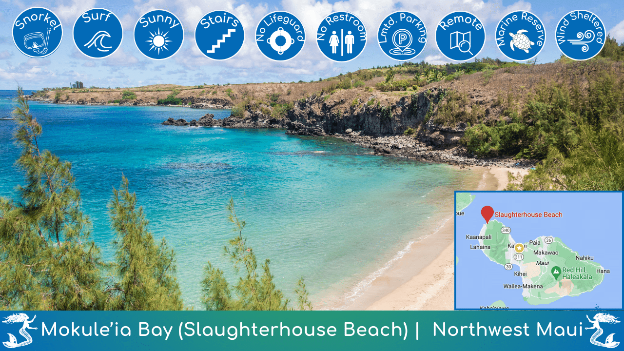 Mokule'ia Bay Beach Guide