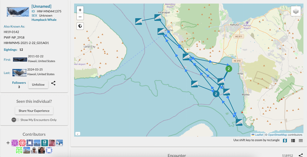 Our Whale - Happy Whale ID Dashboard