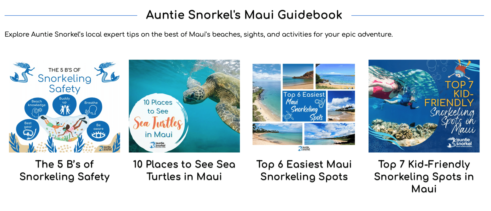 Auntie Snorkel Maui Guidebook on Snorkel 101
