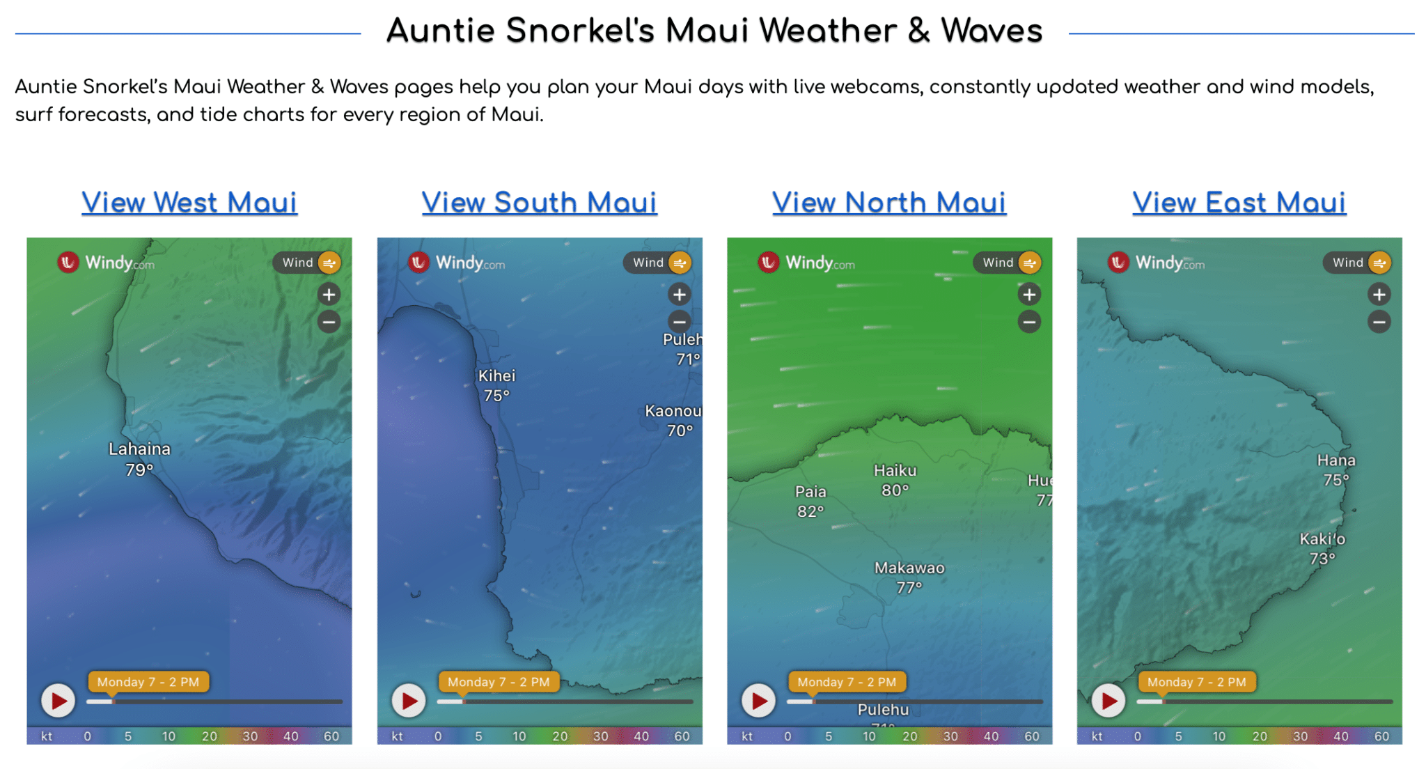Auntie Snorkel Weather and Waves on Snorkel 101
