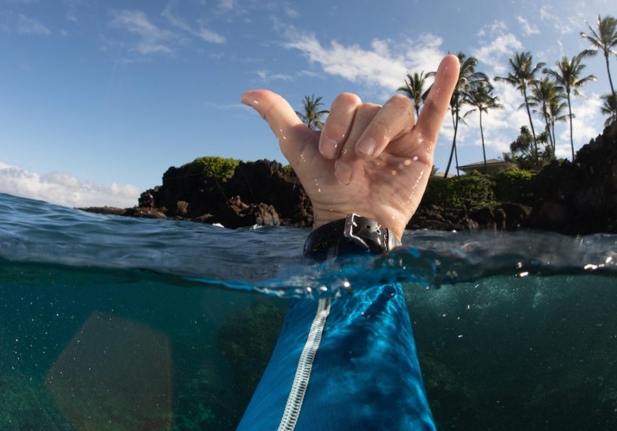 Throwing the shaka in the ocean