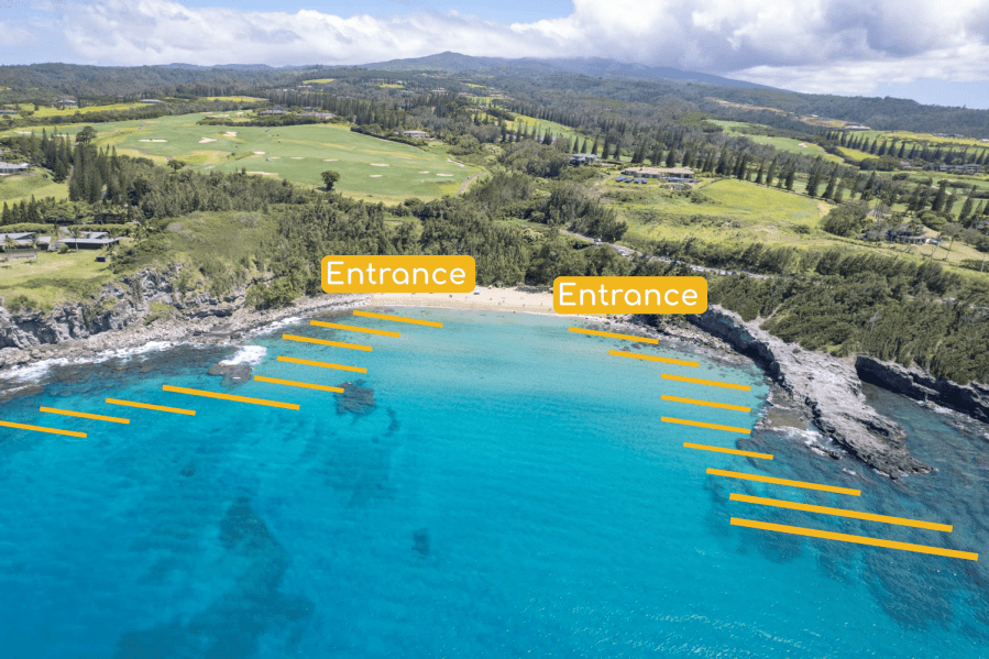 Slaughterhouse Snorkeling Guide 