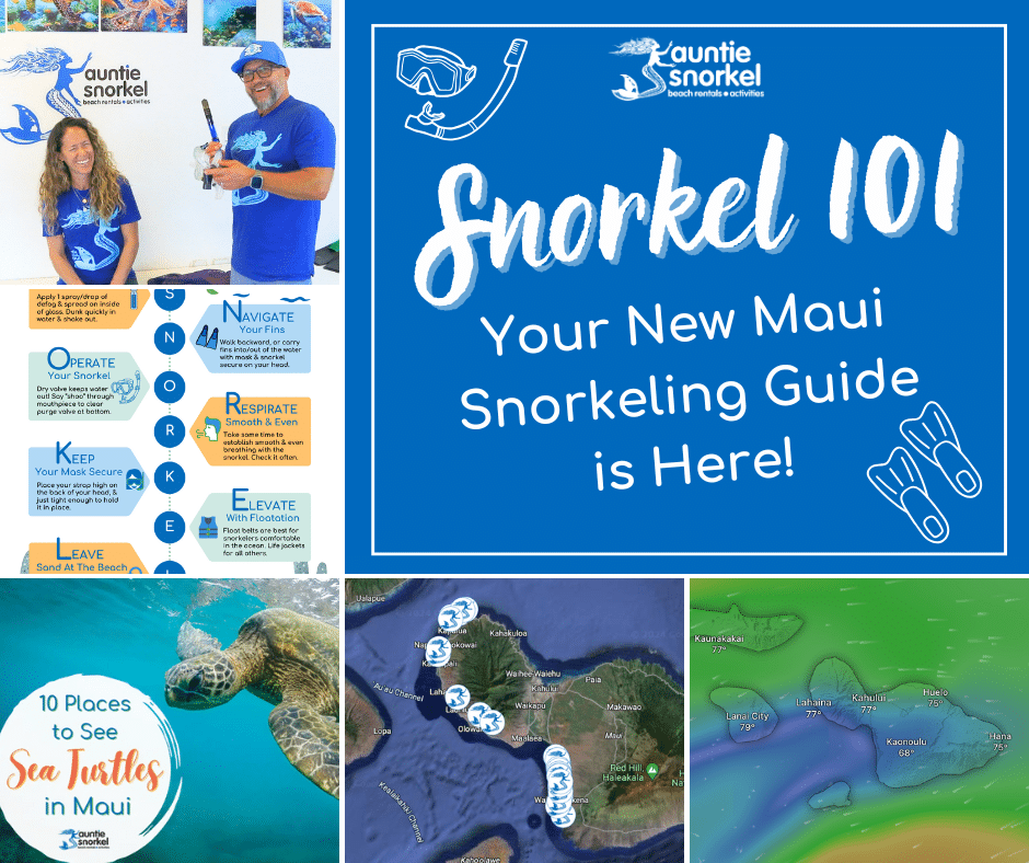 Snorkel 101 - Your New Maui Snorkeling Guide is Here 