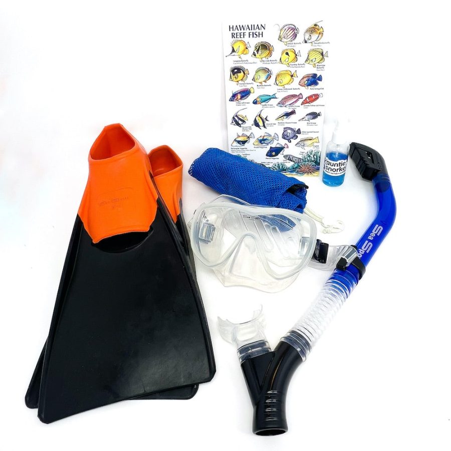 Full Snorkel Set Rental