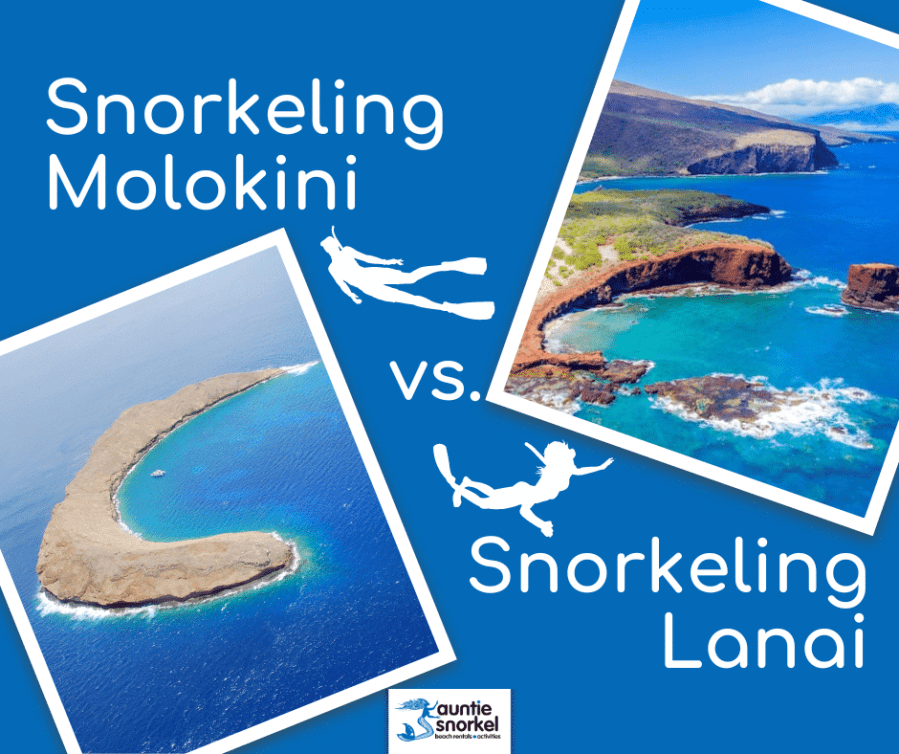 Snorkeling Molokini vs Snorkeling Lanai