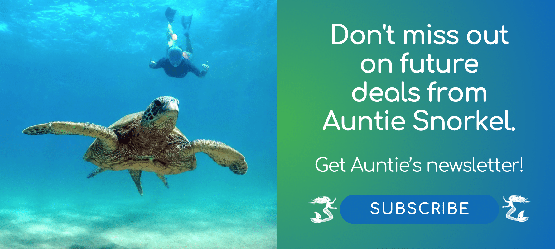 Subscribe to Auntie Snorkel's newsletter