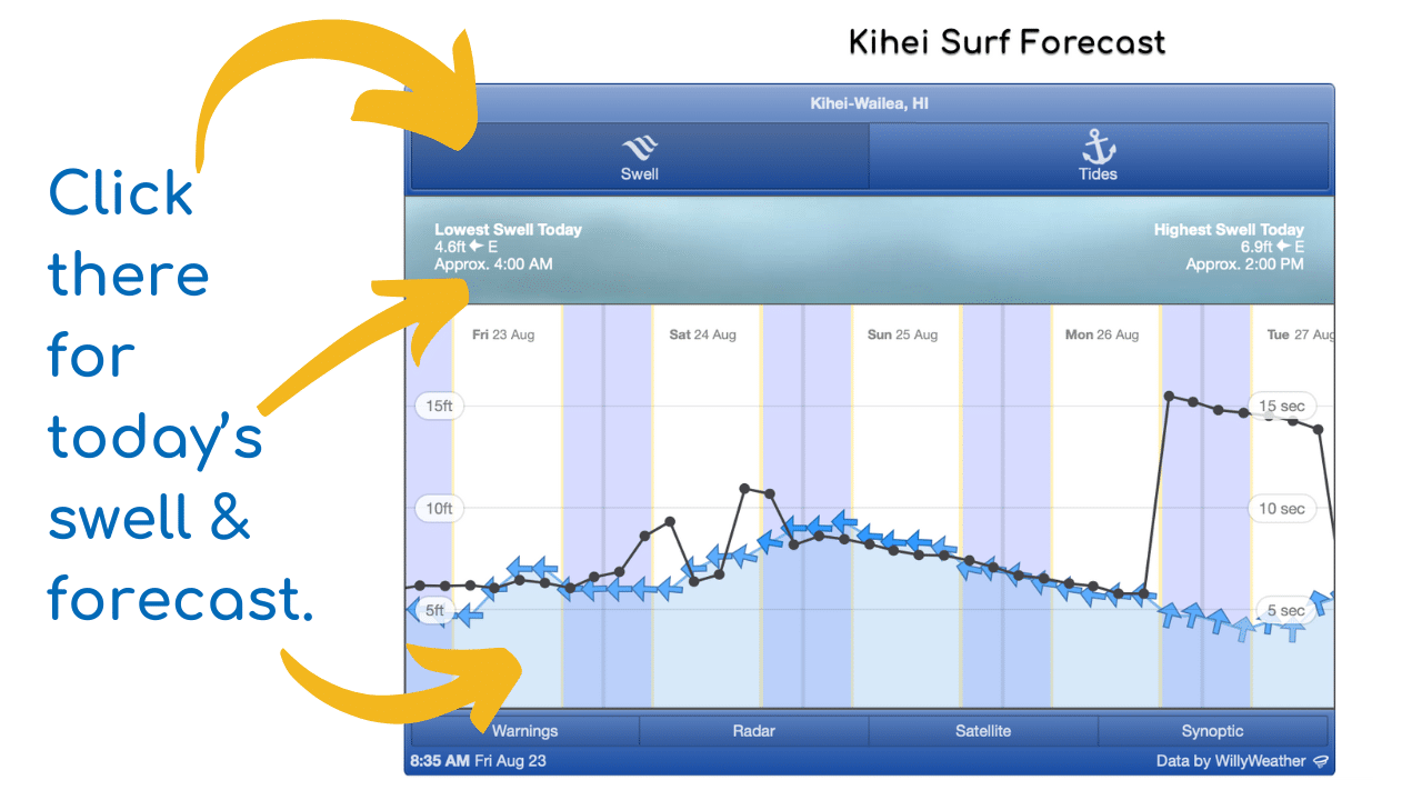 Surf infographic