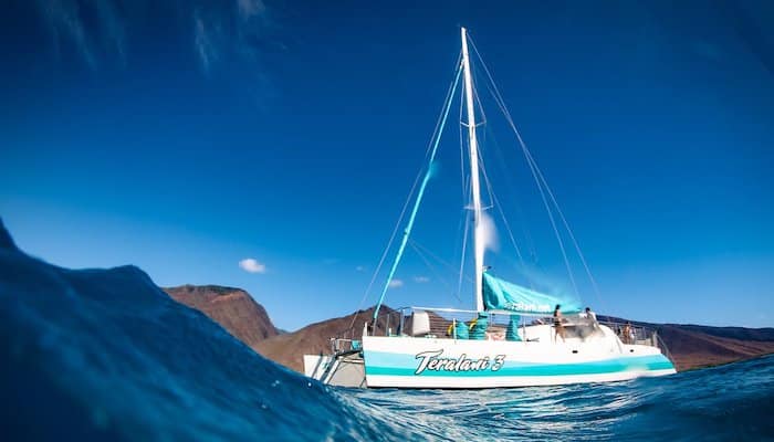 Teralani Whale Watch