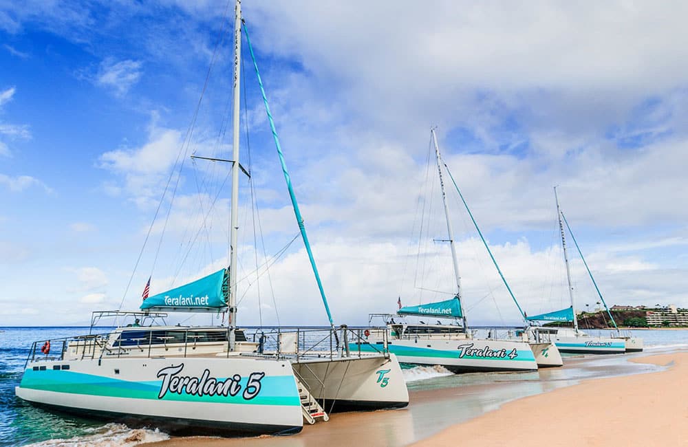 Teralani Fleet 3