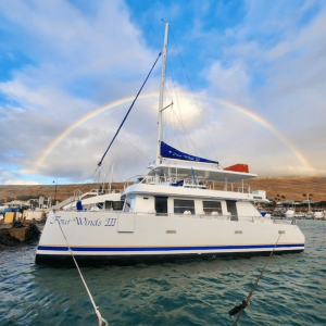 Four Winds Afternoon Turtle Snorkel At Coral Gardens | Special $115! | Reg $129.95