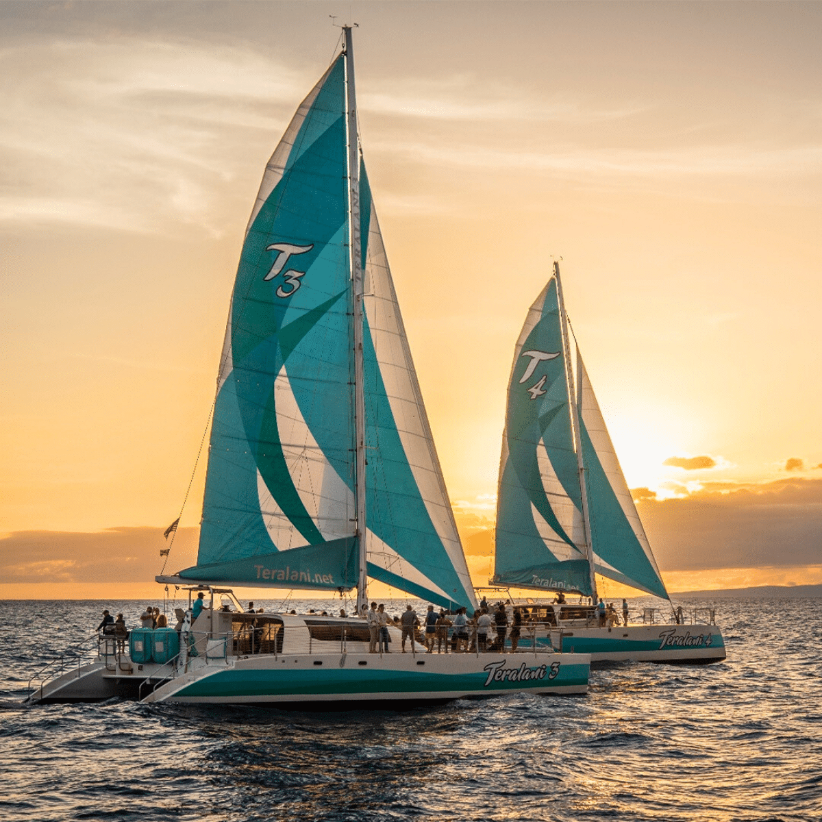 Two Teralani vessels sailing at sunset - Teralani Holo Holo Sunset Appetizer & Cocktail Cruise - Book Maui Activities at Auntie Snorkel