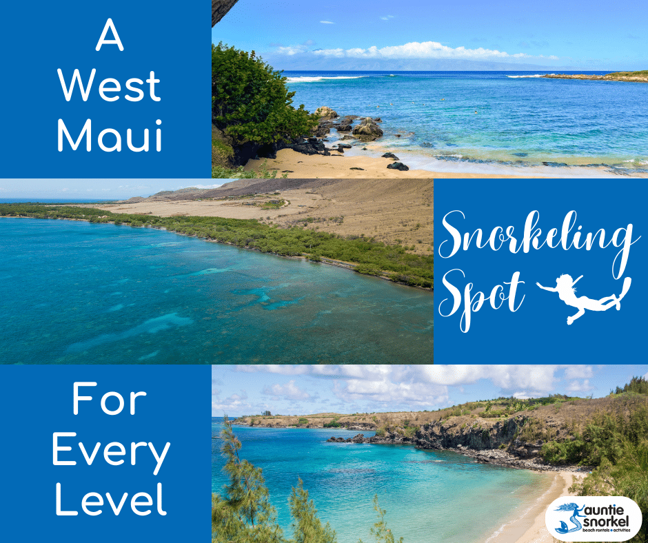 West Maui Snorkeling for Every Level