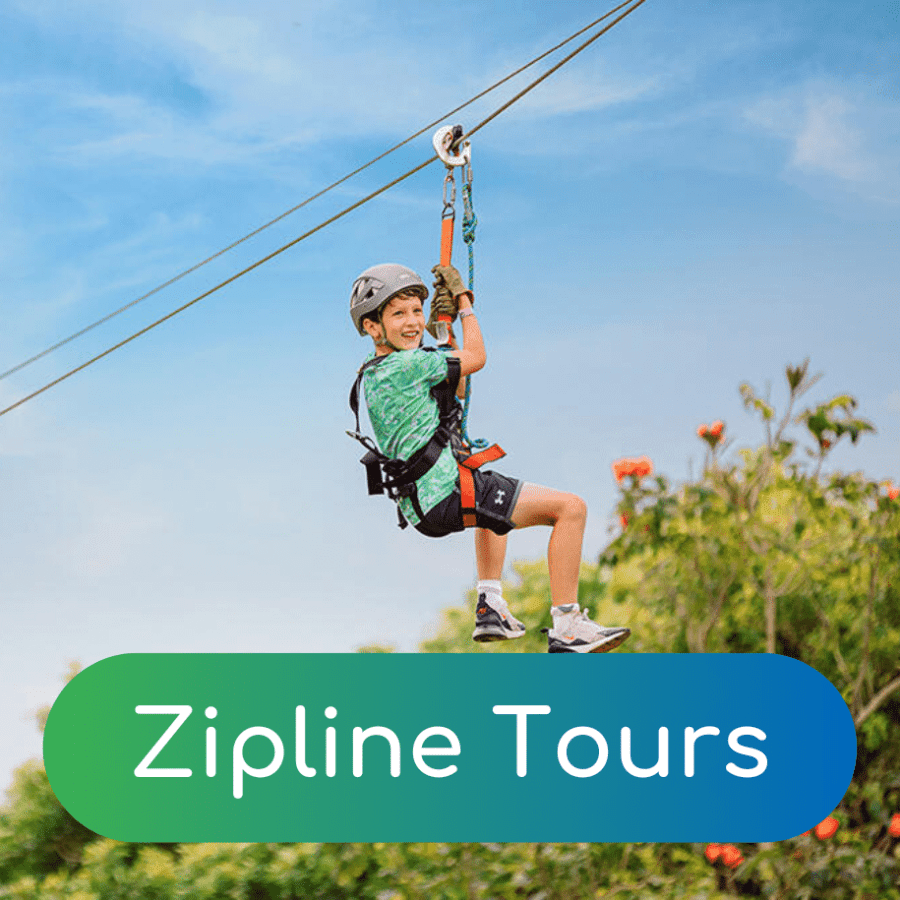 Maui Zipline Tours