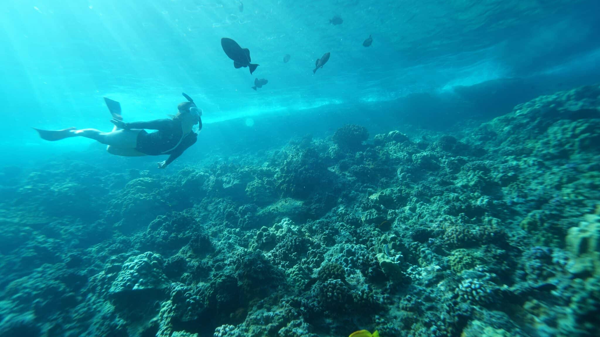 Jean - Fun Specialist - Snorkeling
