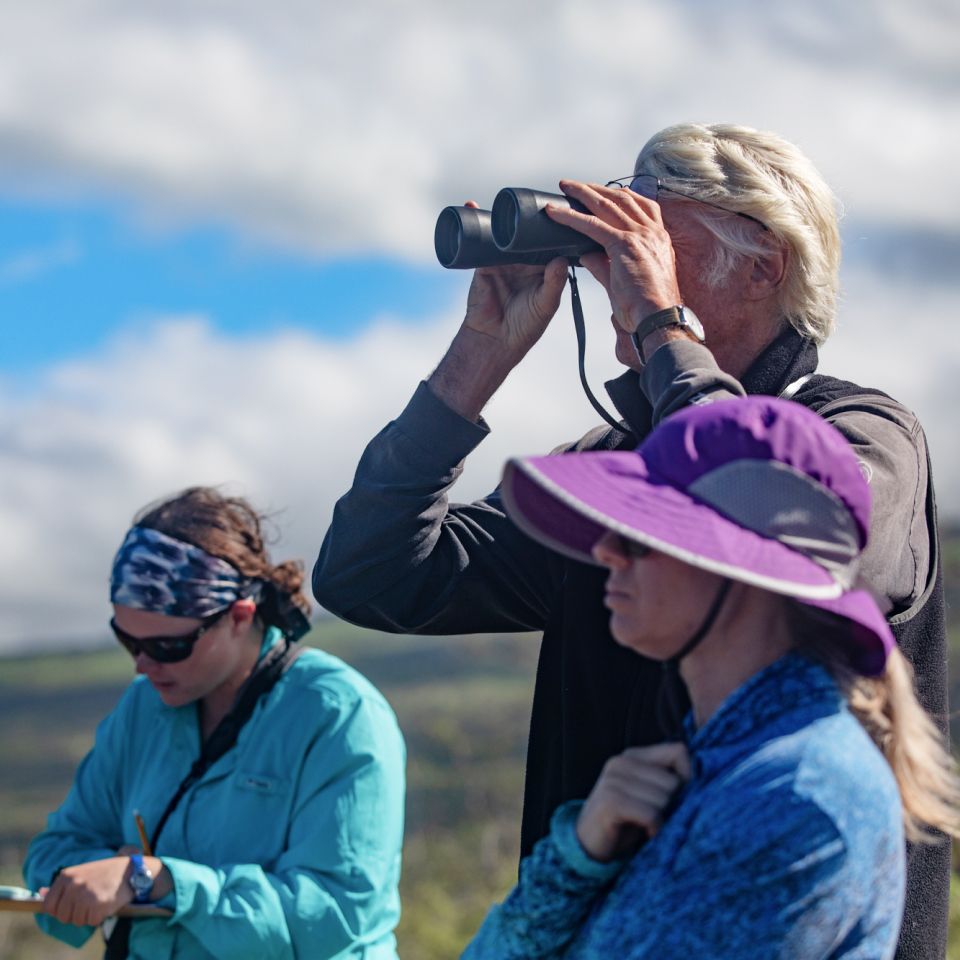 Great Whale Count Maui